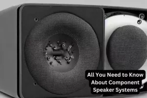 All You Need to Know About Component Speaker Systems