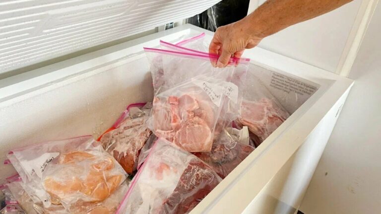 Effective Ways To Store Steak In Freezer